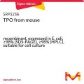 TPO from mouse