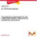 IL-33 from mouse