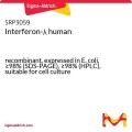 Interferon-λ human
