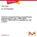 IL-21 human