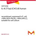 IL-8 (77aa) (CXCL8) human