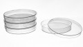 Plant-Safe Cell Culture Petri Dishes With Lid