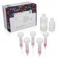 HisPur™ Cobalt Purification Kit, 3 mL