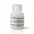 Pierce™ High Capacity NeutrAvidin™ Agarose, 10 mL