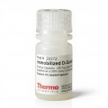 Pierce™ D-Galactose Agarose
