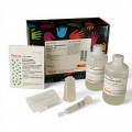 Pierce™ Monomeric Avidin Agarose Kit, 2 mL