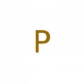 Phosphorus powder, -100 mesh, red amorphous, 98% (metals basis)