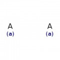 12-Molybdophosphoric acid hydrate, ACS
