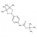 4-(Boc-amino)benzeneboronic acid pinacol ester, 97%