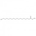 Methyl stearate, 99%