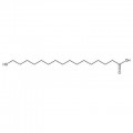 16-Hydroxyhexadecanoic acid, 97%