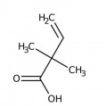 2,2-Dimethyl-3-butenoic acid, 95%