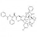 Paclitaxel, 99.5+%